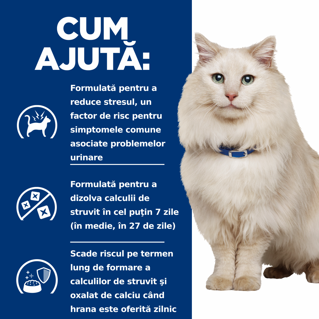 400g Hill's PD Feline C/D Chicken, hrană uscată dietă veterinară pentru pisici cu probleme urinare [9]
