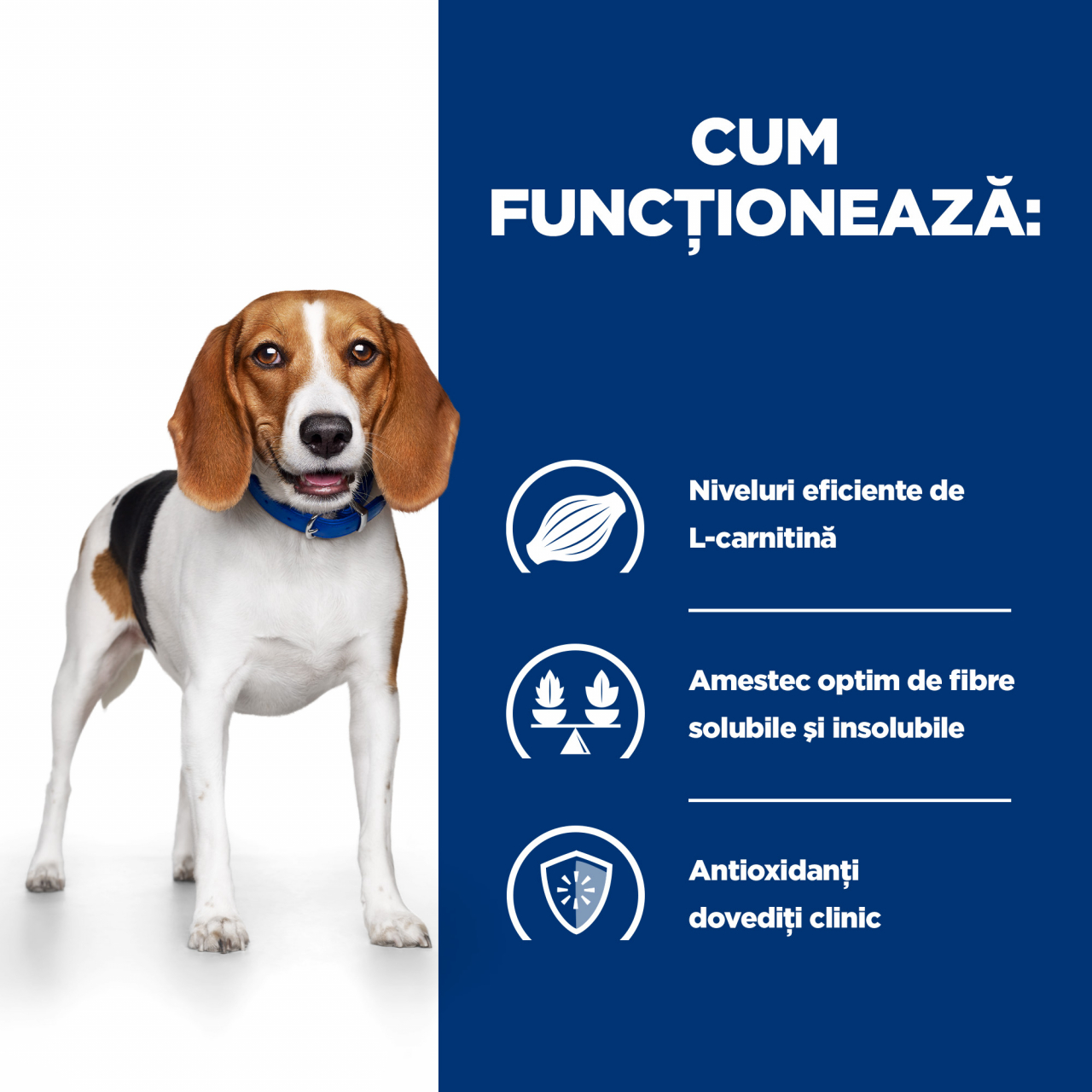 4kg Hill's PD Canine R/D, hrană uscată pentru câini cu probleme de greutate [7]