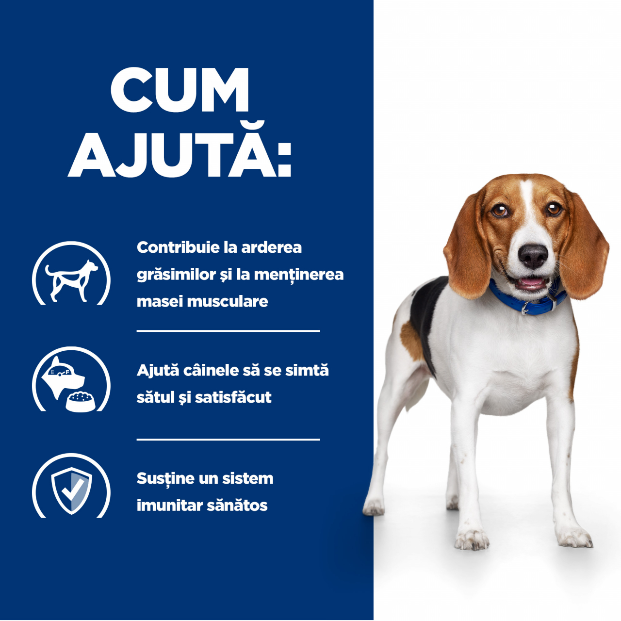 4kg Hill's PD Canine R/D, hrană uscată pentru câini cu probleme de greutate [6]