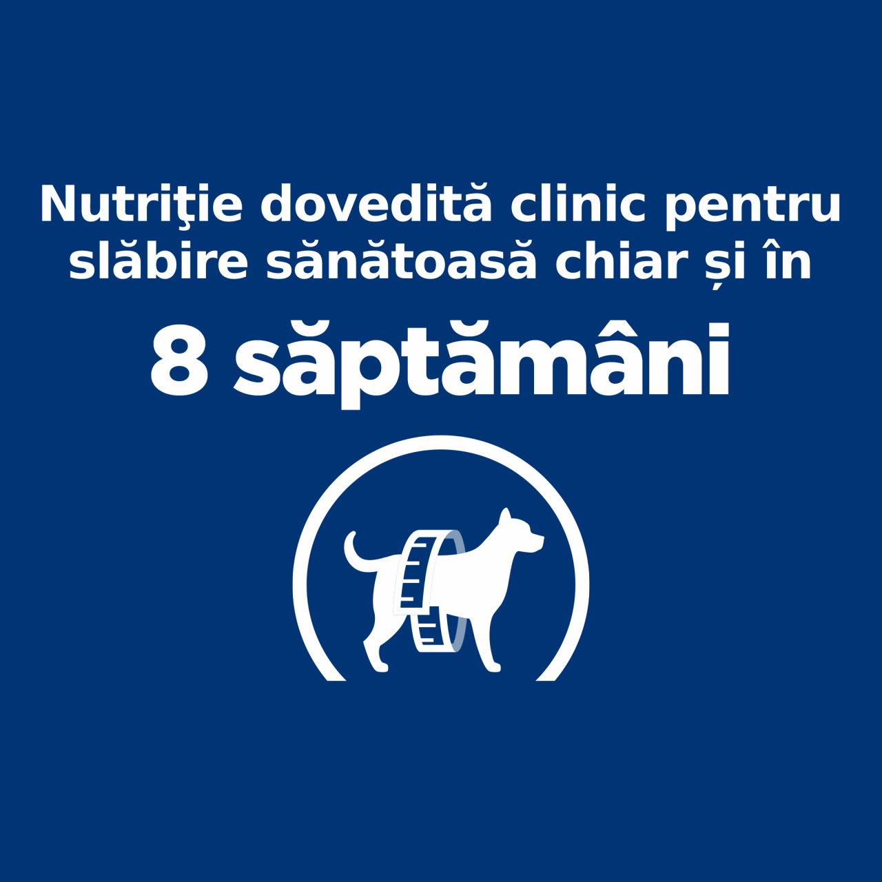 4kg Hill's PD Canine R/D, hrană uscată pentru câini cu probleme de greutate [5]