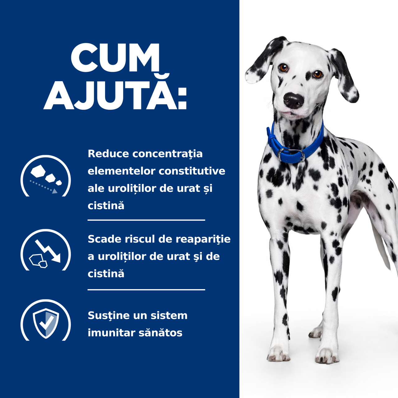 4kg Hill's PD Canine U/D, hrană uscată dietă veterinară pentru câini cu probleme urinare [6]