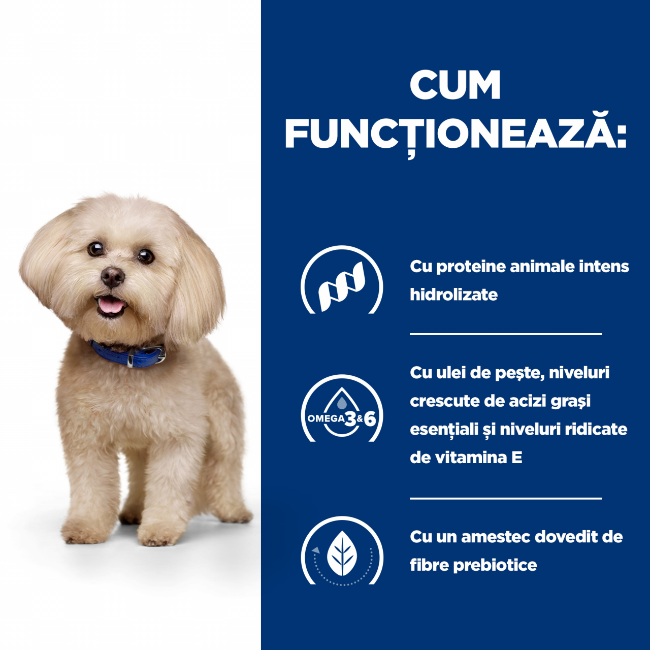 6 kg Hill's PD Canine Z/D Mini, dieta veterinara pentru caini cu probleme dermatologice [8]