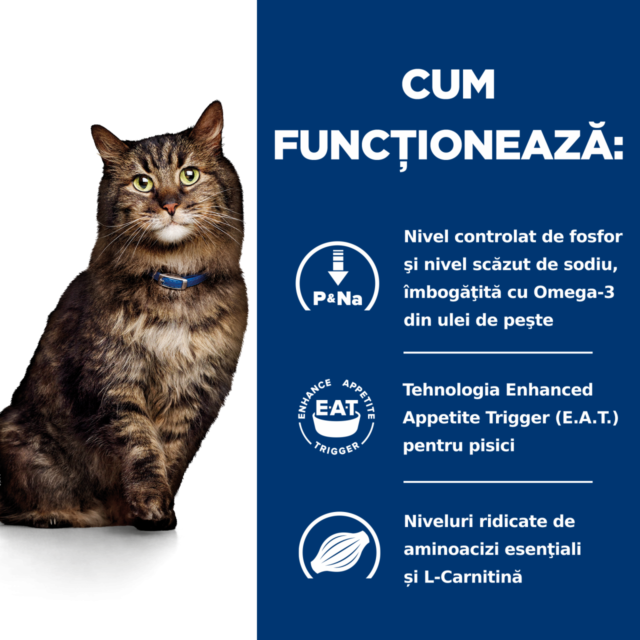 85g Hill's PD Feline K/D Early Stage Chicken (plic), hrană umedă pentru pisici cu probleme renale [3]