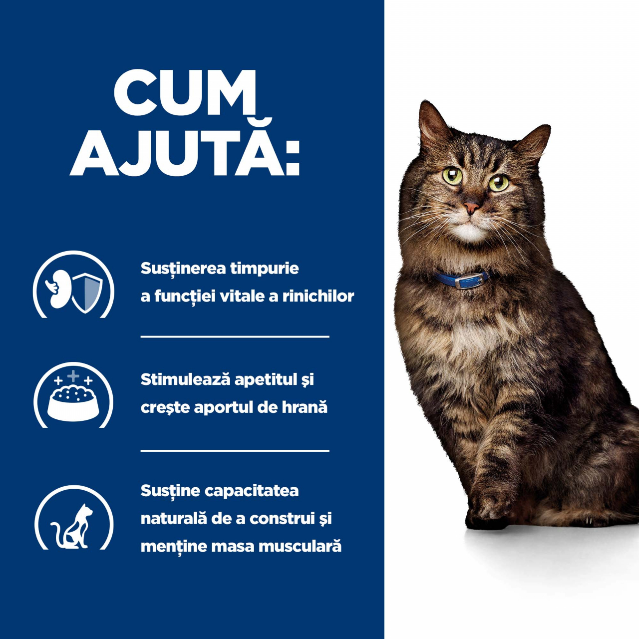 85g Hill's PD Feline K/D Early Stage Chicken (plic), hrană umedă pentru pisici cu probleme renale [2]