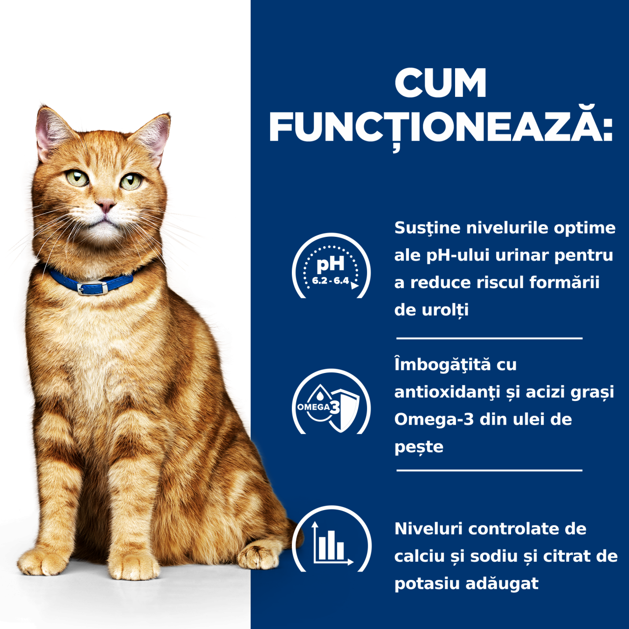 8kg Hill's PD Feline C/D Chicken, hrană uscată pentru pisici cu probleme urinare [7]