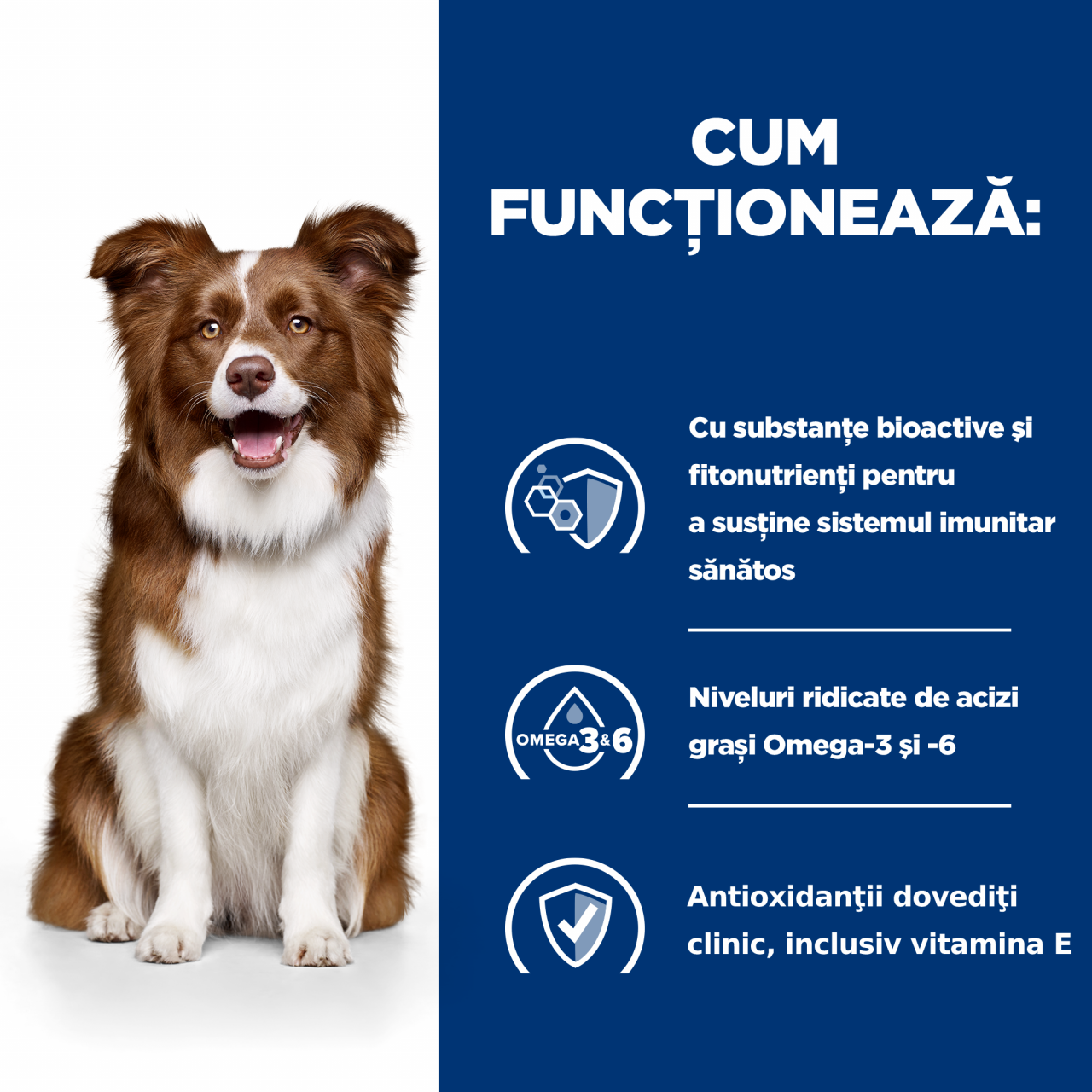 Hill's PD Canine Derm Defense 1.5 kg, hrană uscată dietă veterinară pentru câini cu probleme dermatologice [6]