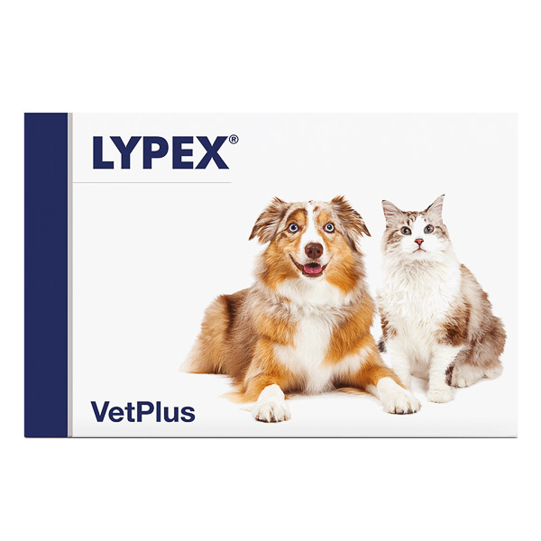 Lypex 60 capsule [1]