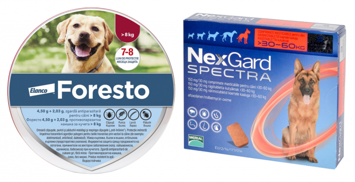 Pachet Foresto L, deparazitare externă pentru câini peste 8kg , 70cm + Nexgard Spectra Dog XL (30-60 kg) - 3 tablete [1]