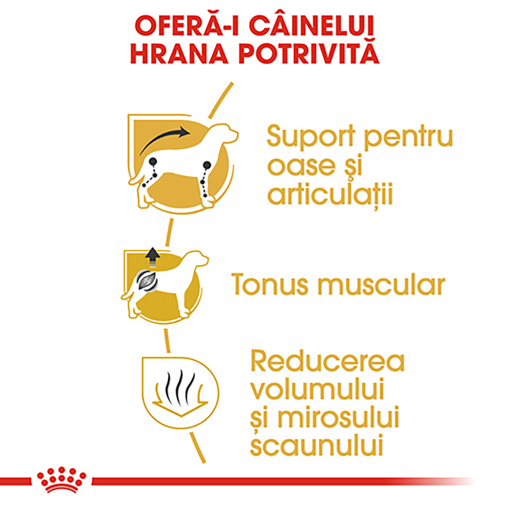 Royal Canin Dachshund Adult hrana uscata caine Teckel, 1.5 kg [5]