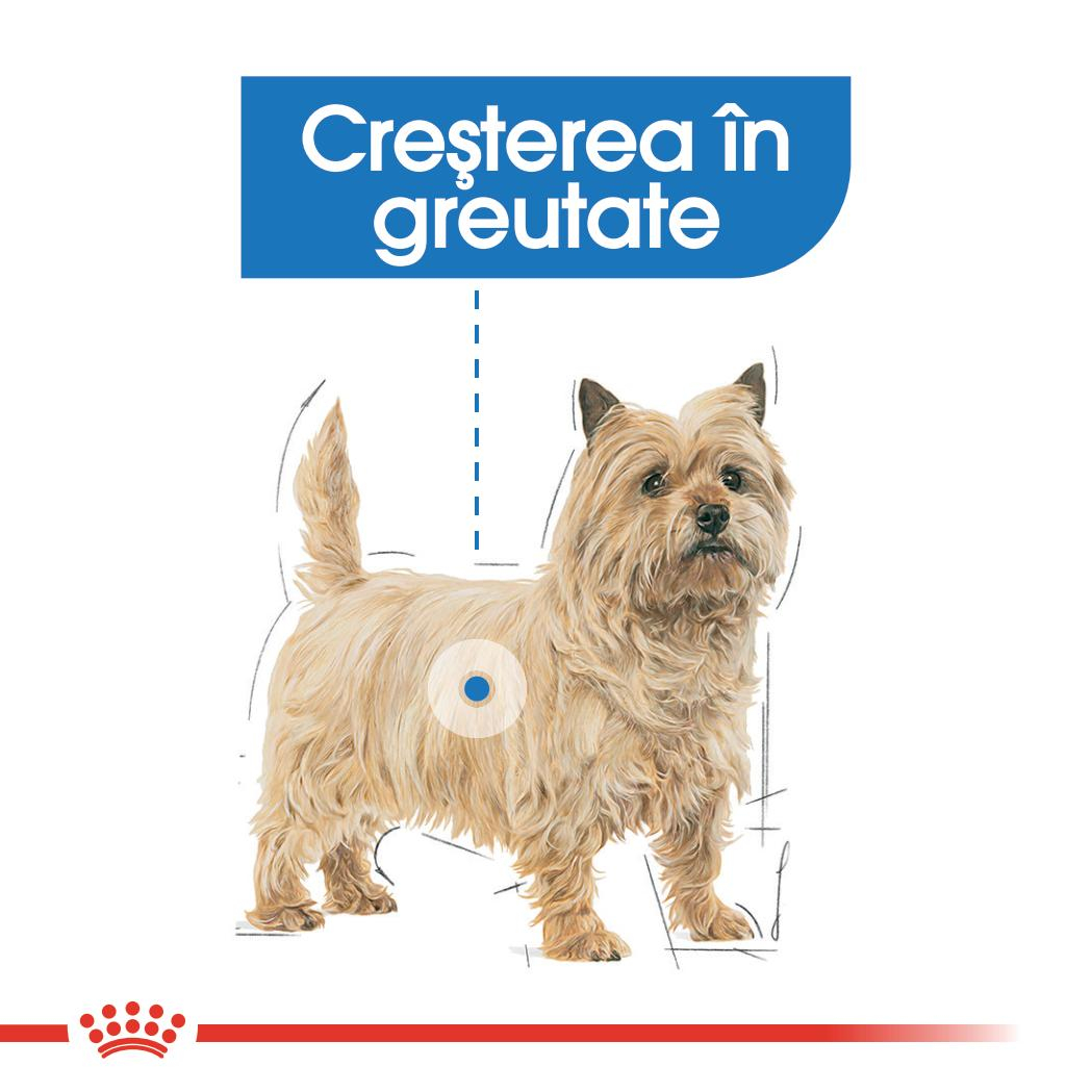 Royal Canin Light Weight Care Adult hrana umeda caine pentru limitarea cresterii in greutate, 12 x 85 g [7]