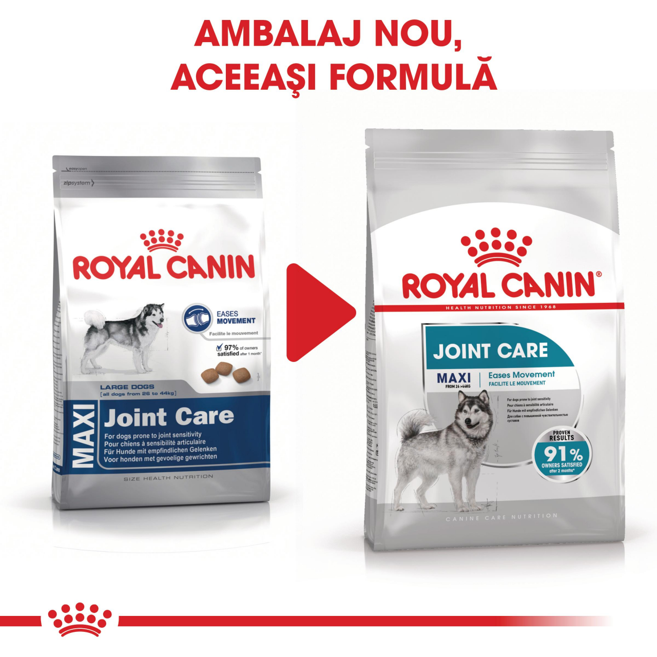 Royal Canin Maxi Joint Care Adult hrana uscata caine pentru ingrijirea articulatiilor, 10 kg [2]