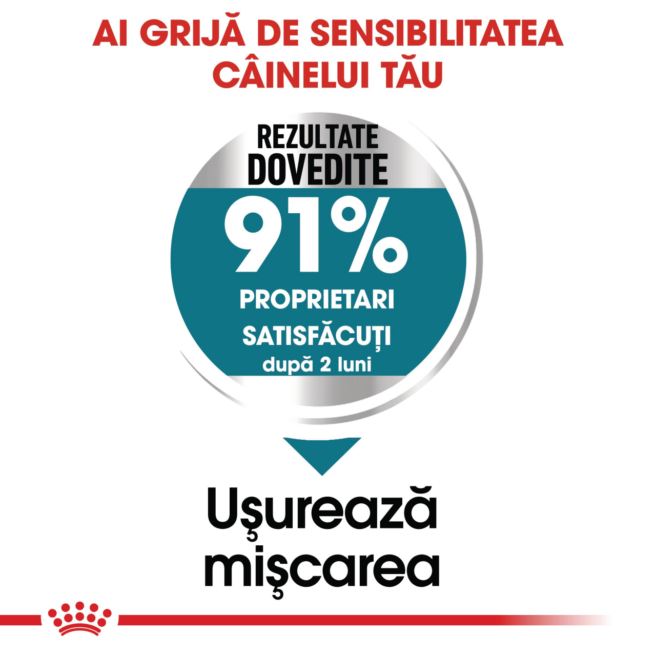 Royal Canin Maxi Joint Care Adult hrana uscata caine pentru ingrijirea articulatiilor, 10 kg [5]