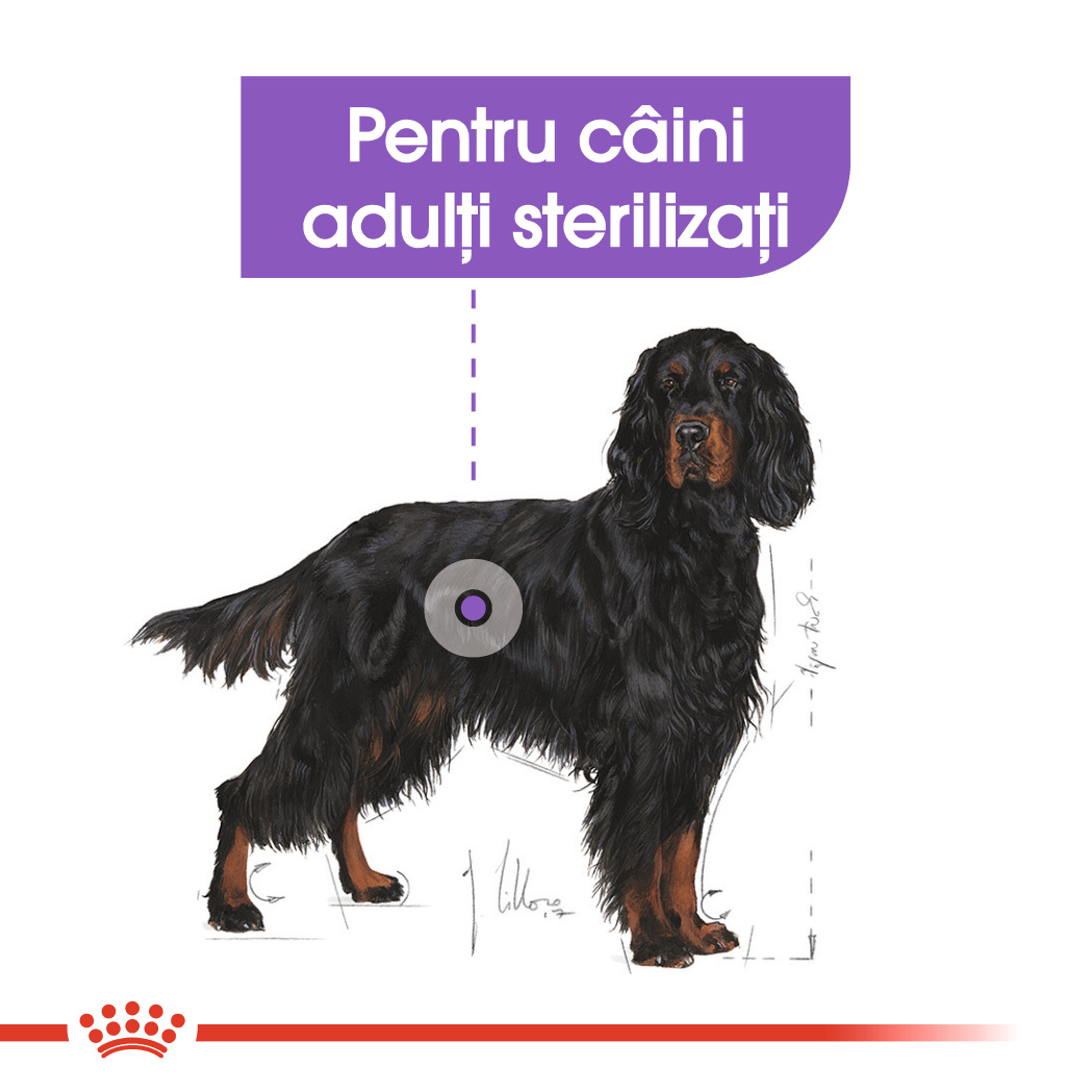Royal Canin Maxi Sterilised Adult hrana uscata caine sterilizat, 12 kg [4]
