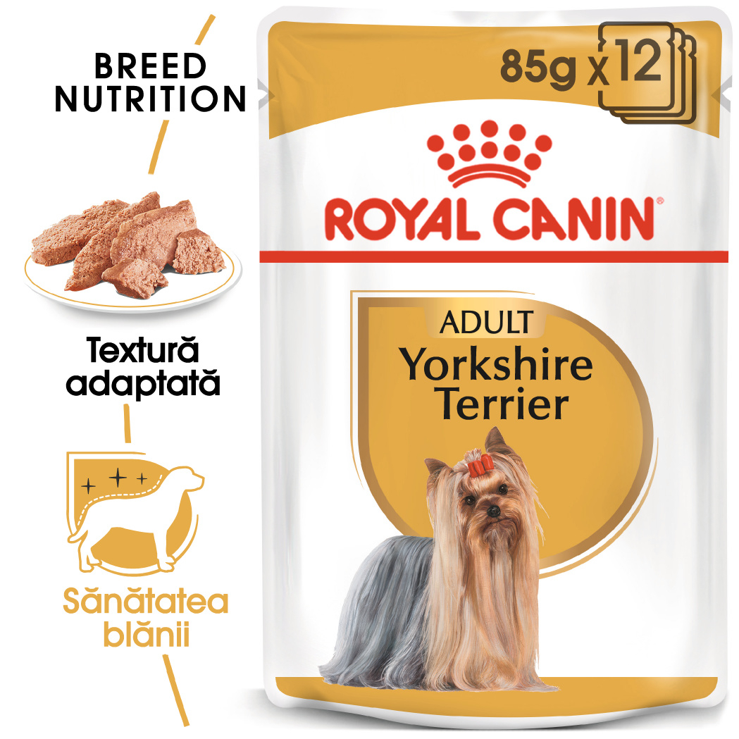 Royal Canin Yorkshire Terrier Adult hrana umeda caine, 12 x 85 g [7]