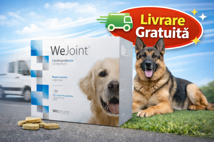 WeJoint Dog Large Breed 120cp – Mobilitate, Articulații Puternice și Confort Zilnic pentru Câinii de Talie Mare [2]