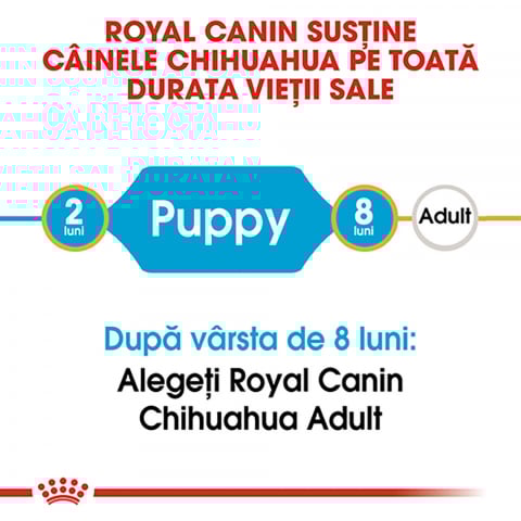1.5 kg Royal Canin Chihuahua Puppy hrana uscata caine junior [2]
