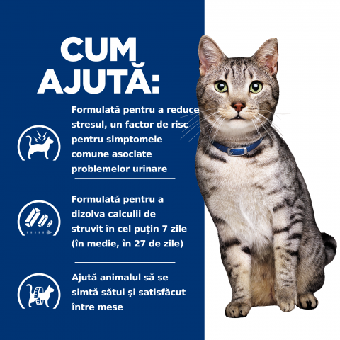 1.5kg Hill's PD Feline C/D Stress + Metabolic, hrană uscată dietă veterinară pentru pisici cu probleme urinare [7]