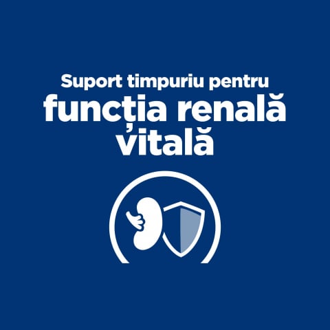 3kg Hill's PD Feline K/D Early Stage, hrană uscată dietă veterinară pentru pisici cu probleme renale [3]