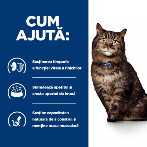 3kg Hill's PD Feline K/D Early Stage, hrană uscată dietă veterinară pentru pisici cu probleme renale [1]
