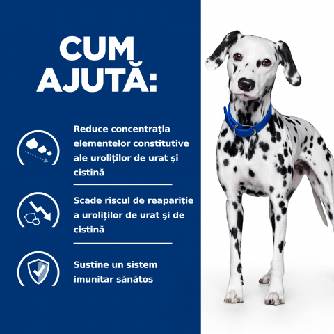 4kg Hill's PD Canine U/D, hrană uscată dietă veterinară pentru câini cu probleme urinare [5]