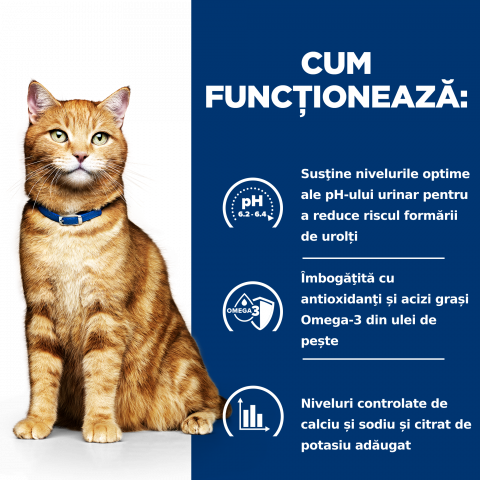 8kg Hill's PD Feline C/D Chicken, hrană uscată pentru pisici cu probleme urinare [6]