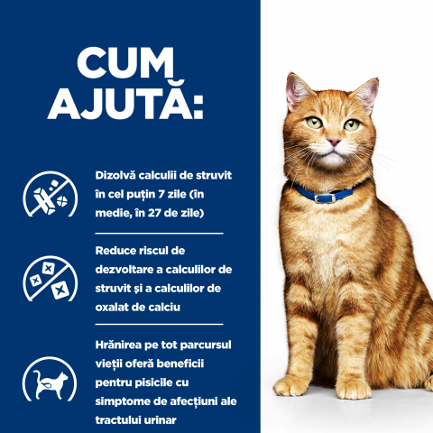8kg Hill's PD Feline C/D Chicken, hrană uscată pentru pisici cu probleme urinare [5]