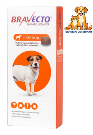 PROMOȚII - Bravecto 4.5 - 10 kg, serviciu veterinar deparazitare externă pentru câini