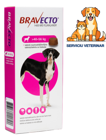 Pastilă - Bravecto 40-56 kg, serviciu veterinar deparazitare externă pentru câini cu greutatea cuprinsa intre 40 si 56 kg