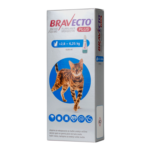 Pipetă - Bravecto Plus Spot-on Cat 250 mg (2.8-6.25 kg) - deparazitare externa si interna pentru pisici