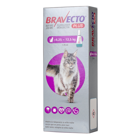 Pipetă - Bravecto Plus Spot-on Cat 500 mg (6.25-12.5 kg) - deparazitare externa si interna pentru pisici