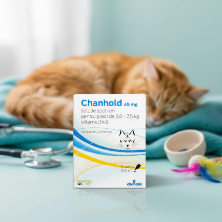 Cabinet Veterinar - Chanhold 6% 45 mg pentru pisici 2,6-7,5 kg – pipetă antiparazitară