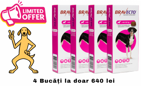 Pastile - Pachet 4 x Bravecto (40-56 kg), deparazitare externă pentru câini