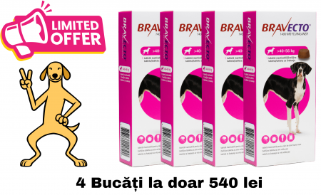 Pentru Câini - Pachet 4 x Bravecto (40-56 kg), deparazitare externă pentru câini