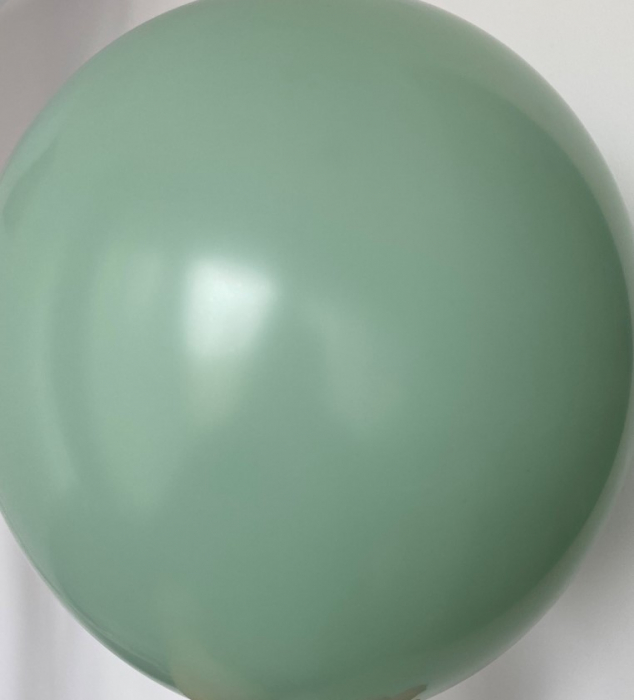 Pastel Wintergreen [2]