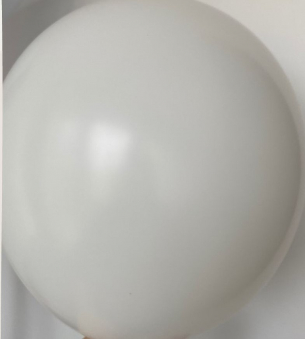 Standard White [2]