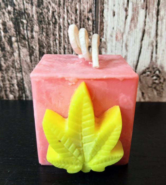 Set " Rasta mini cub " [2]