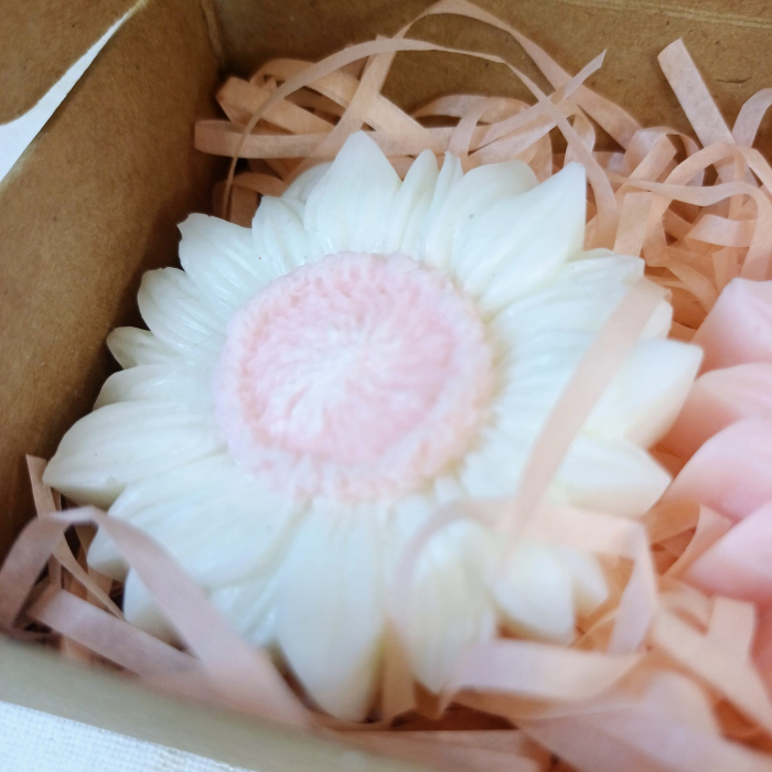 Wax melts - Tablete parfumate  -cutie cu doua flori divers colorate. [10]