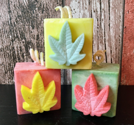 Rasta Series - Set " Rasta mini cub "