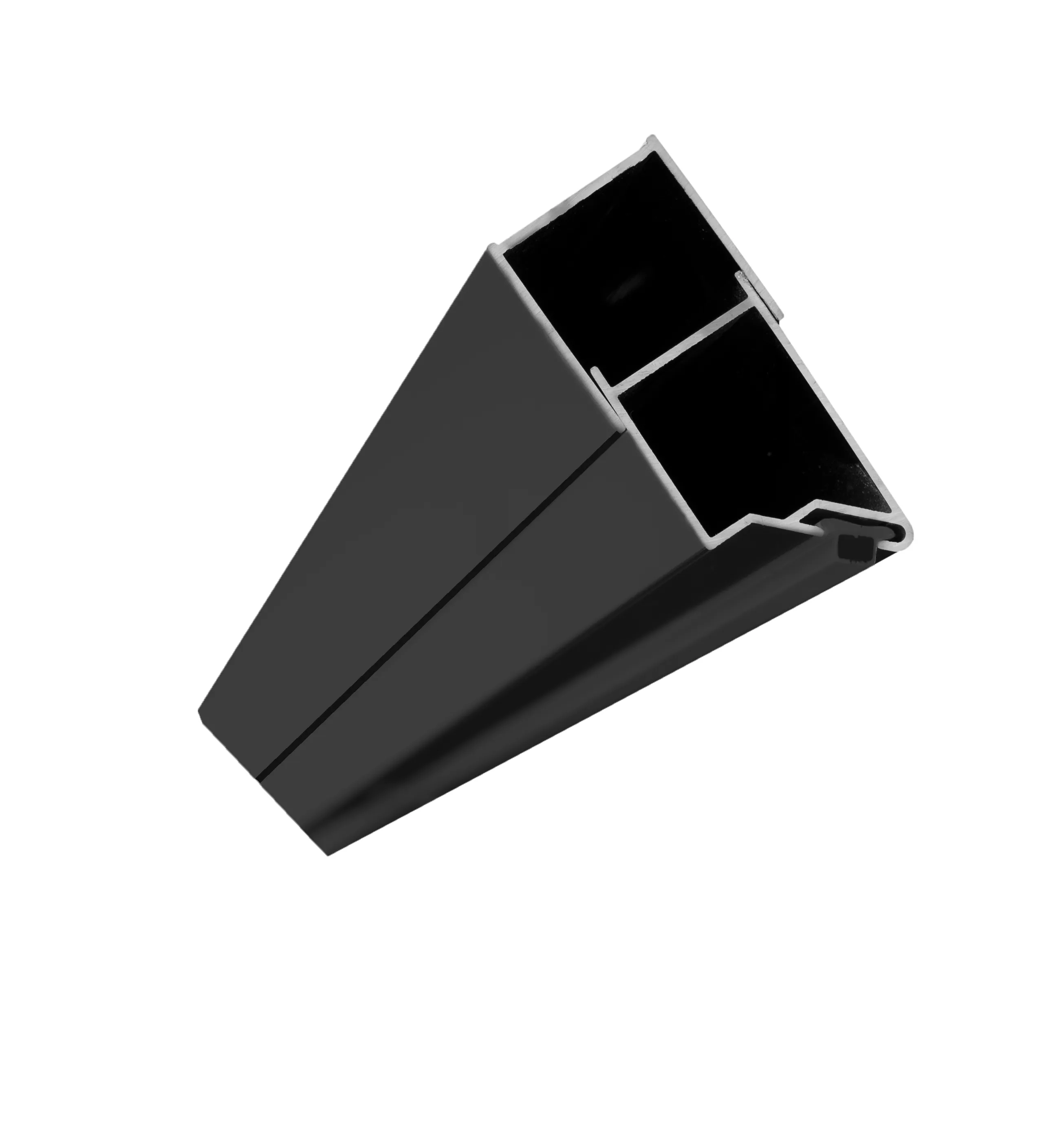 Profil magnetic pentru uși de duș Molier Black [2]