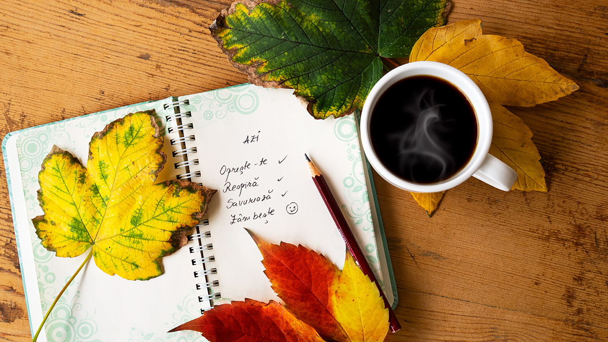 Despre Newsletter-ul Decodru - de ce să te abonezi