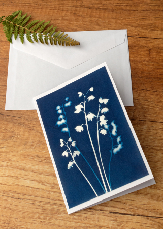 Artă pe hârtie - Felicitare "Lăcrimioare"