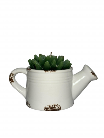 Armonie Botanica [1]