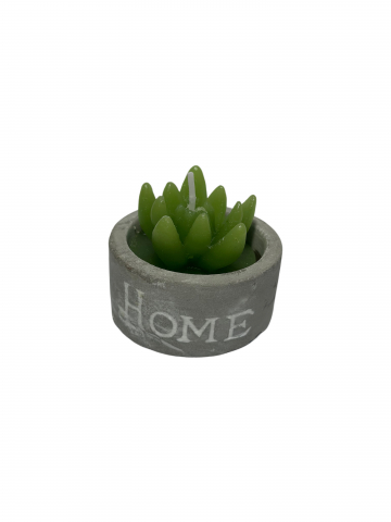 Lumanari Green Home [1]