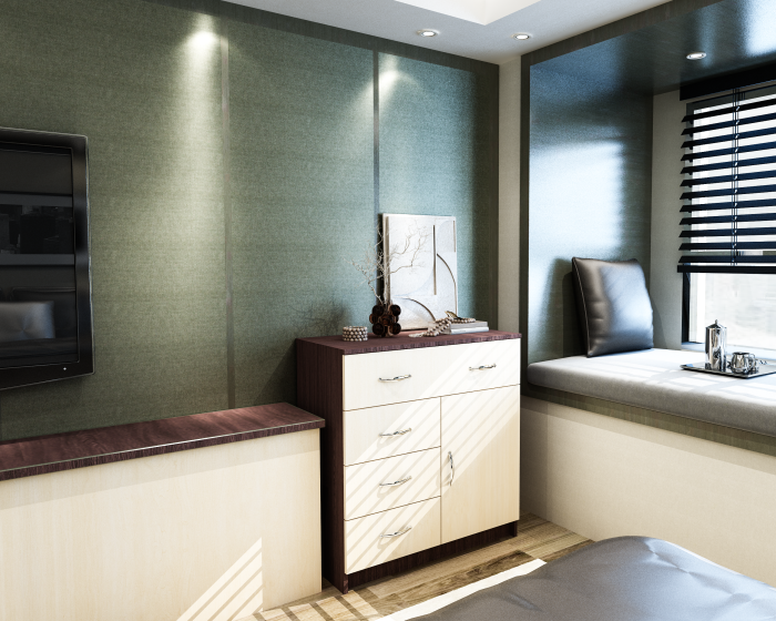 Comoda 1-3-1 Ro, Wenge + Mesteacan [2]