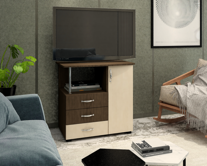 COMODA TV VIVA 1 UA WENGE+MESTEACAN [1]