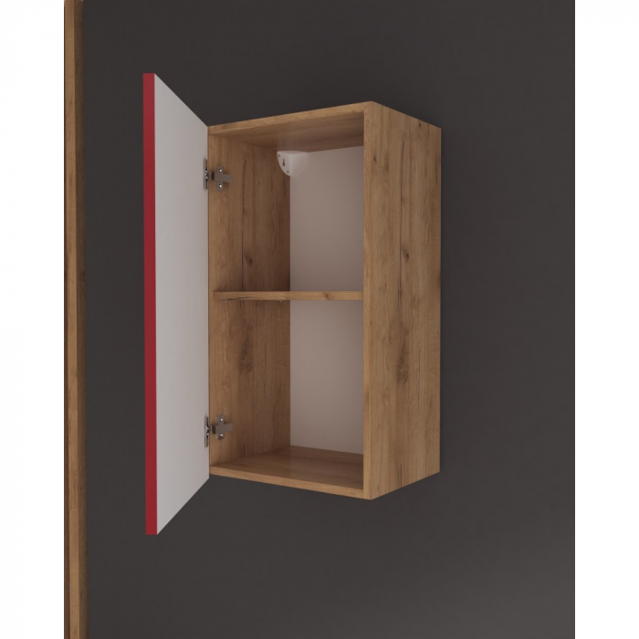 Corp superior Chelsea, 40-1u, Stejar k003 + Rosu [2]