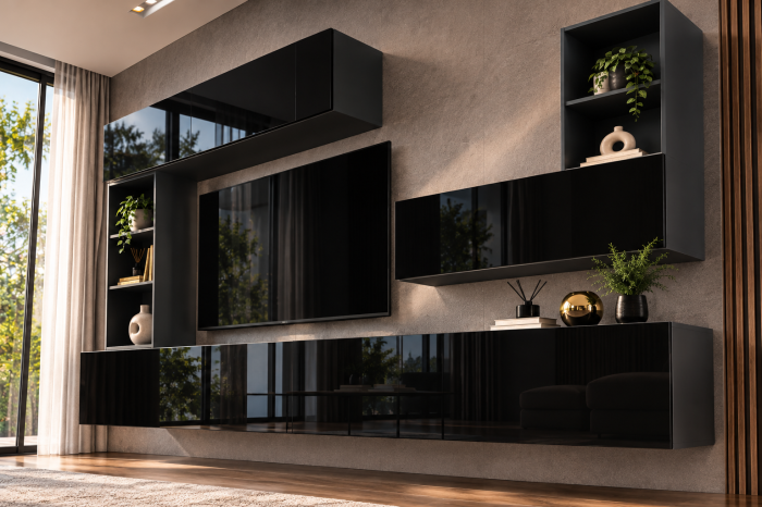 Living MP4 Antracit + Acril alb, Cappuccino, Negru Antracit+Negru [6]