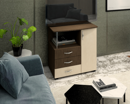 COMODA TV VIVA 1 UA WENGE+MESTEACAN [2]