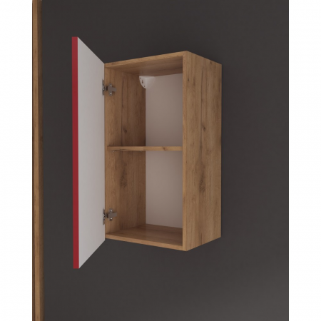 Corp superior Chelsea, 40-1u, Stejar k003 + Rosu [1]