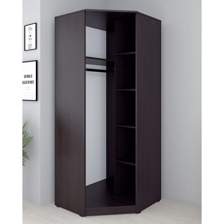 Dulap 3Usi (pe colt) Ro Wenge+Mesteacan [1]